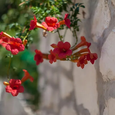 By The Sea Mavarstica, Ciovo - 1108