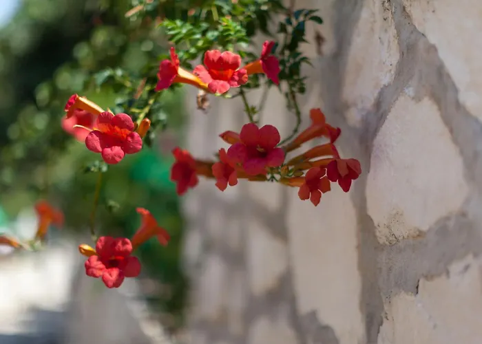 By The Sea Mavarstica, Ciovo - 1108